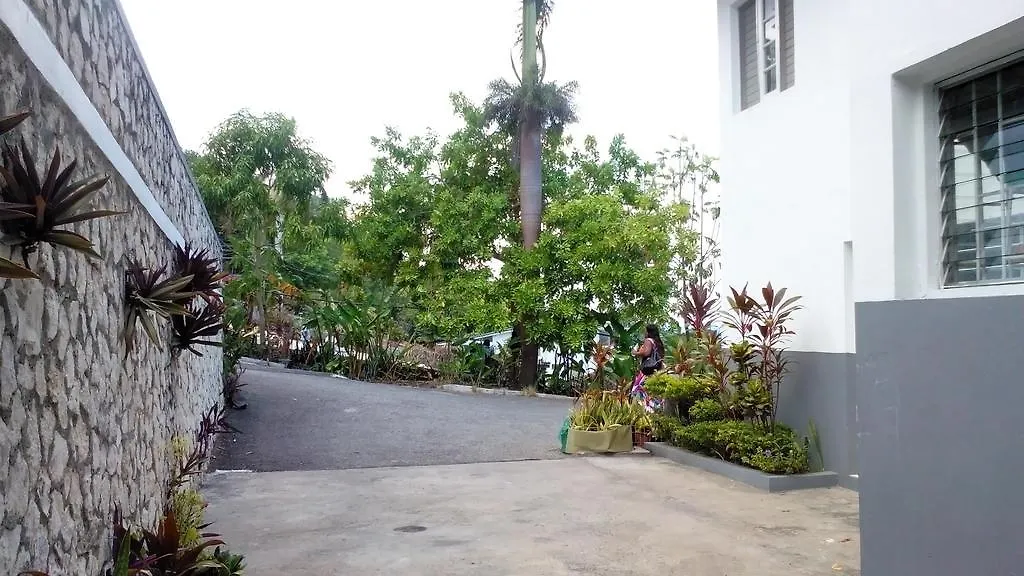 Palm View Guest House Montego Bay