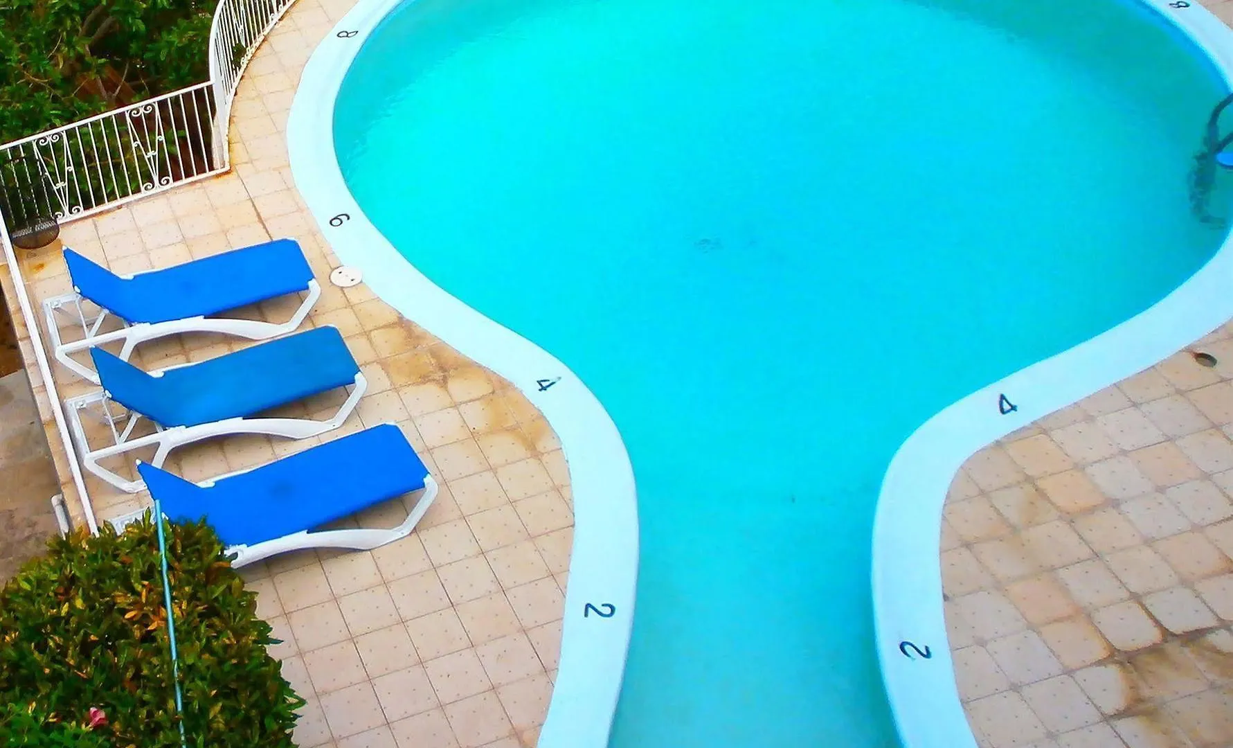 ** Hotel Palm View Guest House Montego Bay Jamaica